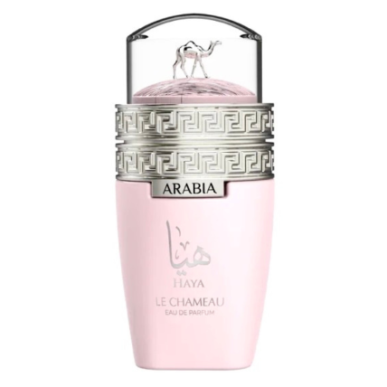 Le Chameau Arabia Haya Le Chameau Arabia Haya